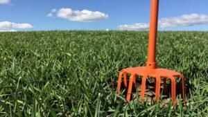 Read more about the article How to Aerate Your Lawn: a Simple Guide for Healthier Grass