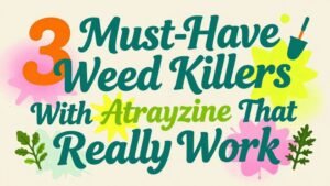 Read more about the article 3 Must-Have Weed Killers with Atrazine That Really Work