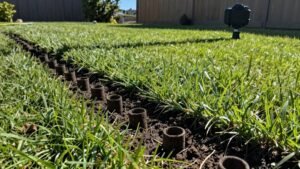 Read more about the article Core vs. Spike Lawn Aerators: Which Is Best for Your Yard?
