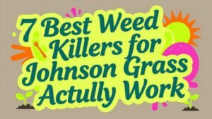 Read more about the article 7 Best Weed Killers for Johnson Grass That Actually Work