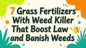 Read more about the article 7 Grass Fertilizers with Weed Killer That Boost Law and Banish Weeds