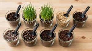 Read more about the article 7 Best Grass Seeds With Spreader That Transform Bare Patches Fast