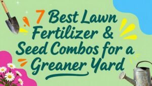 Read more about the article 7 Best Lawn Fertilizer & Seed Combos for a Greener Yard