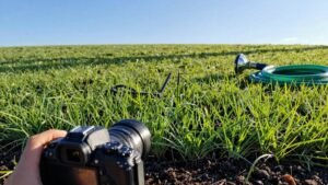 Read more about the article When to Cut New Grass Seed: Timing Tips for a Healthy Lawn