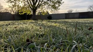 Read more about the article When Not to Mow Your Lawn: Seasonal Timing Tips